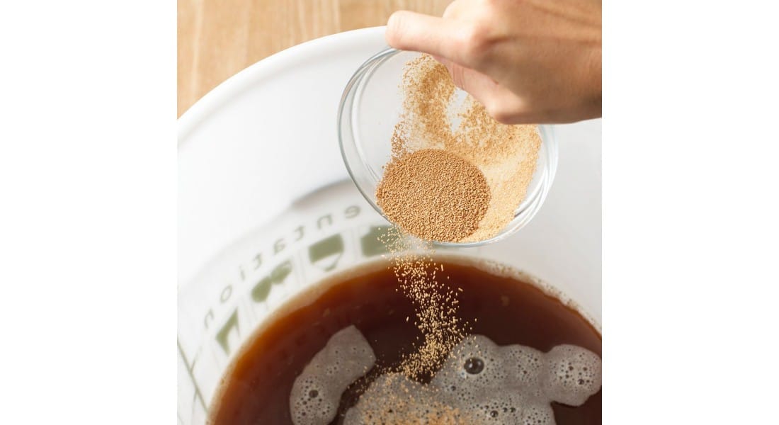 The Ultimate Guide to Kveik Yeast