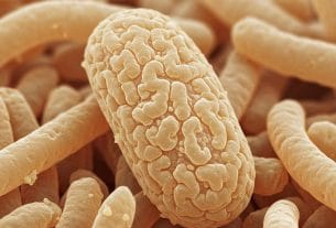 What ABV kills yeast?